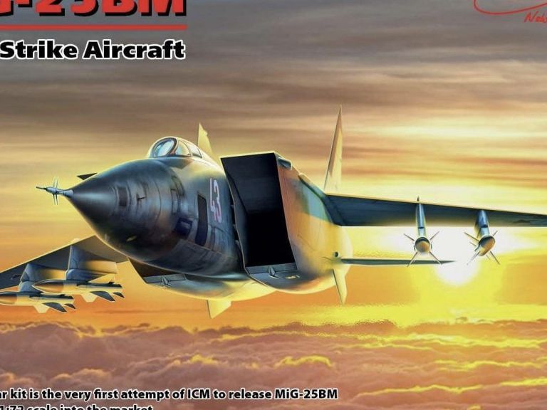 ICM, [72175] MiG-25BM, 1/72