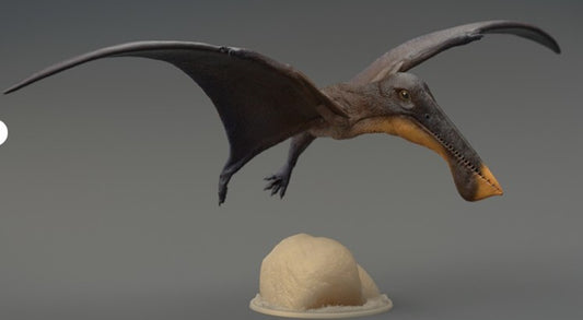 3D Print, Ikrandraco avatar pair, 1/35