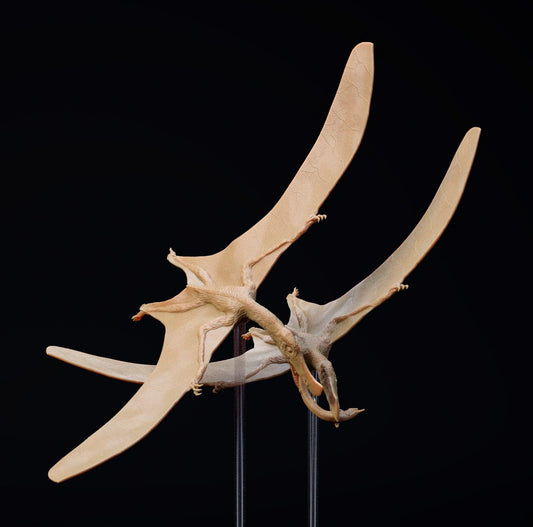 3D print, Skiphousora pair - flying, 1/35