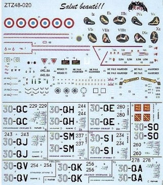 Zotz [ZTZ48-020] Salut beaute: Mirage F.1 CT, 1/48